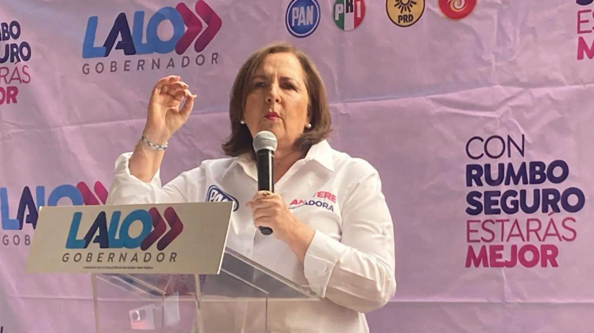 Ana Teresa Aranda, candidata al Senado de la República